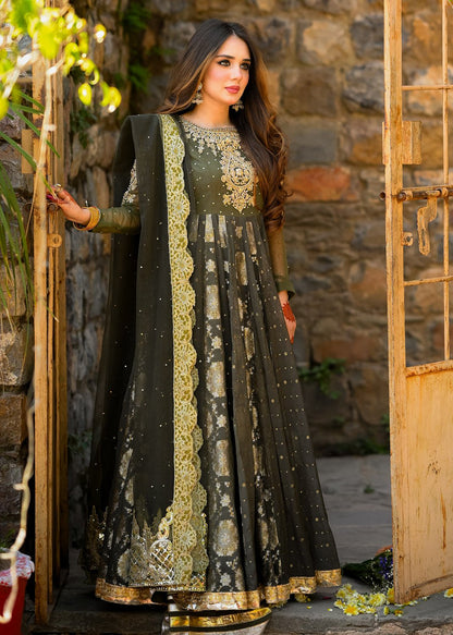 Anarkali Celebrity Style